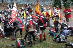 Soester-Fehde46