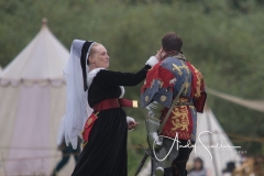 Tewkesbury20