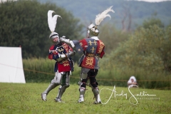Tewkesbury29