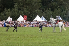 Tewkesbury49